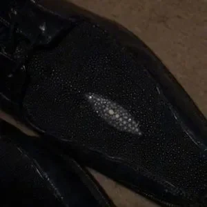 Belvedere | Shoes | Belvedere Genuine Stingray And Eel Skin 